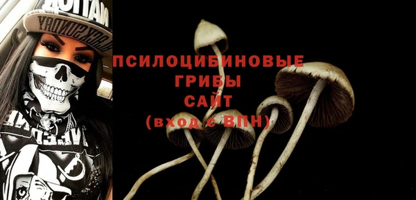 скорость Алзамай