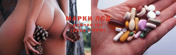 ПСИЛОЦИБИНОВЫЕ ГРИБЫ Алексин
