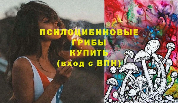 ПСИЛОЦИБИНОВЫЕ ГРИБЫ Алексин